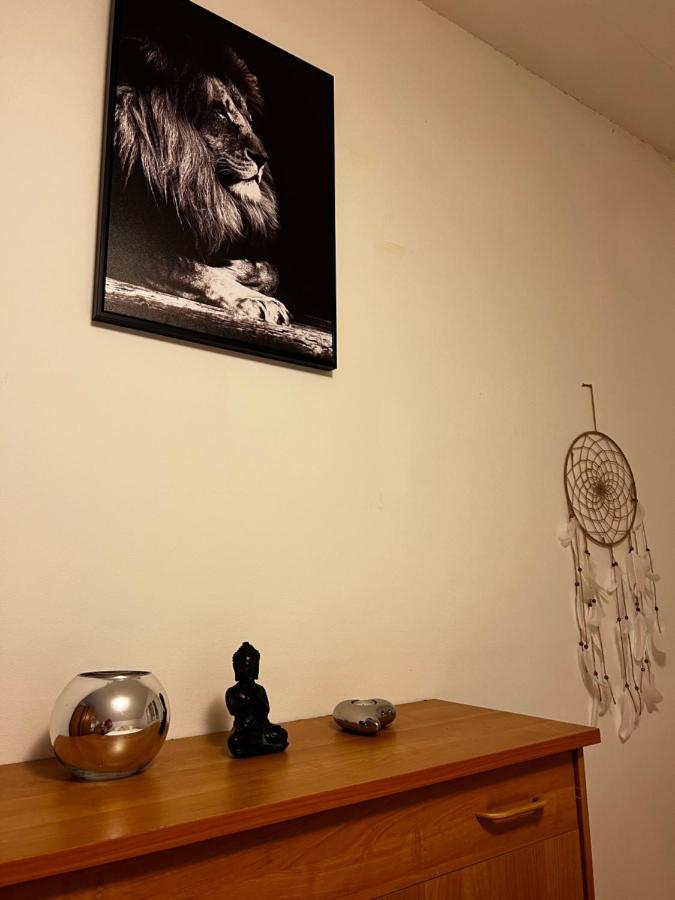 Euphoria Apartment Obuljeno Extérieur photo